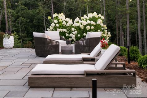 320 Flowering Vine Court Asheville NC 28803