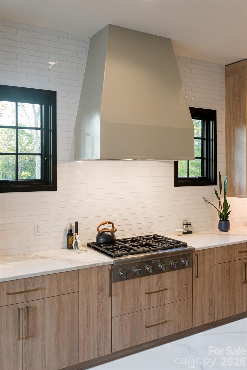 320 Flowering Vine Court Asheville NC 28803