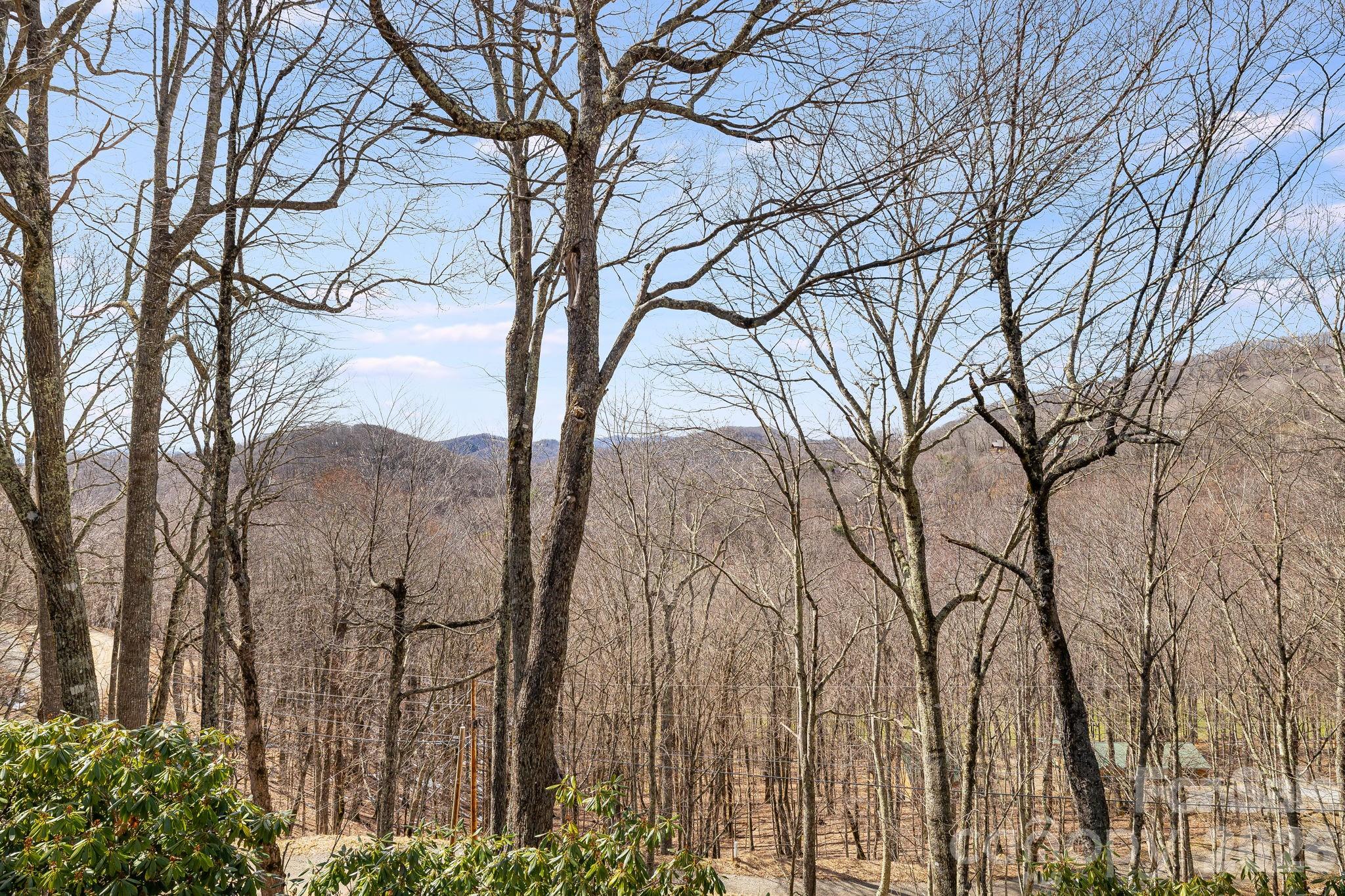1065 Oak Ridge Lane Mars Hill NC 28754