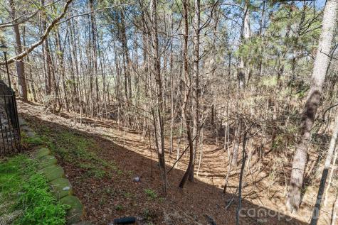 7218 Cascading Pines Drive Tega Cay SC 29708