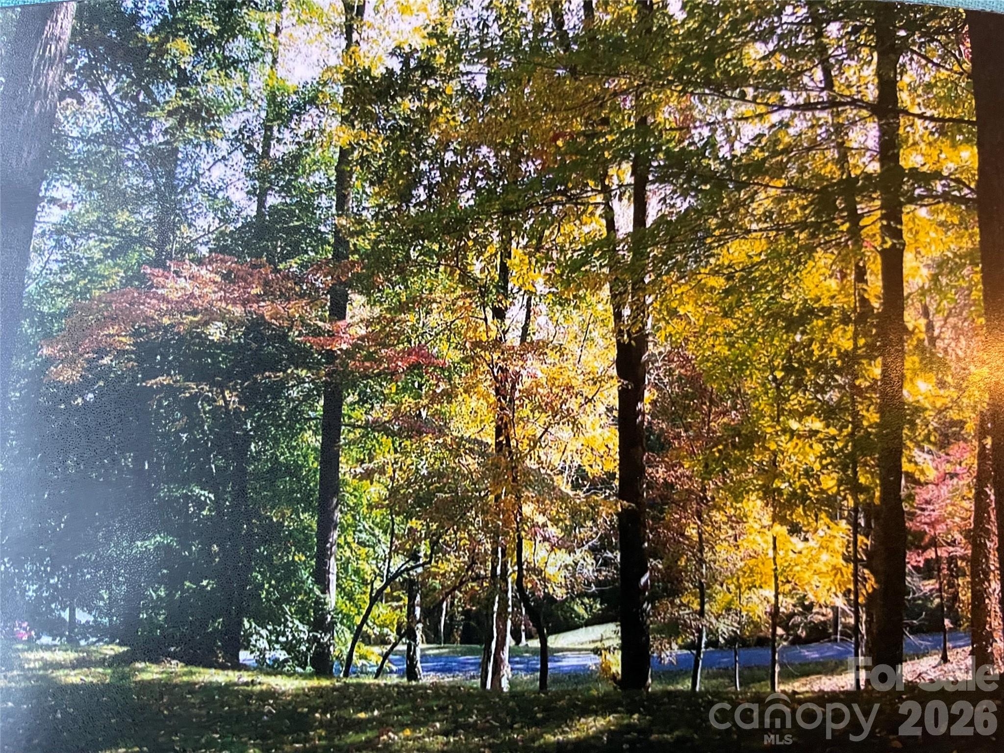 23 Mahan Lane Waynesville NC 28786