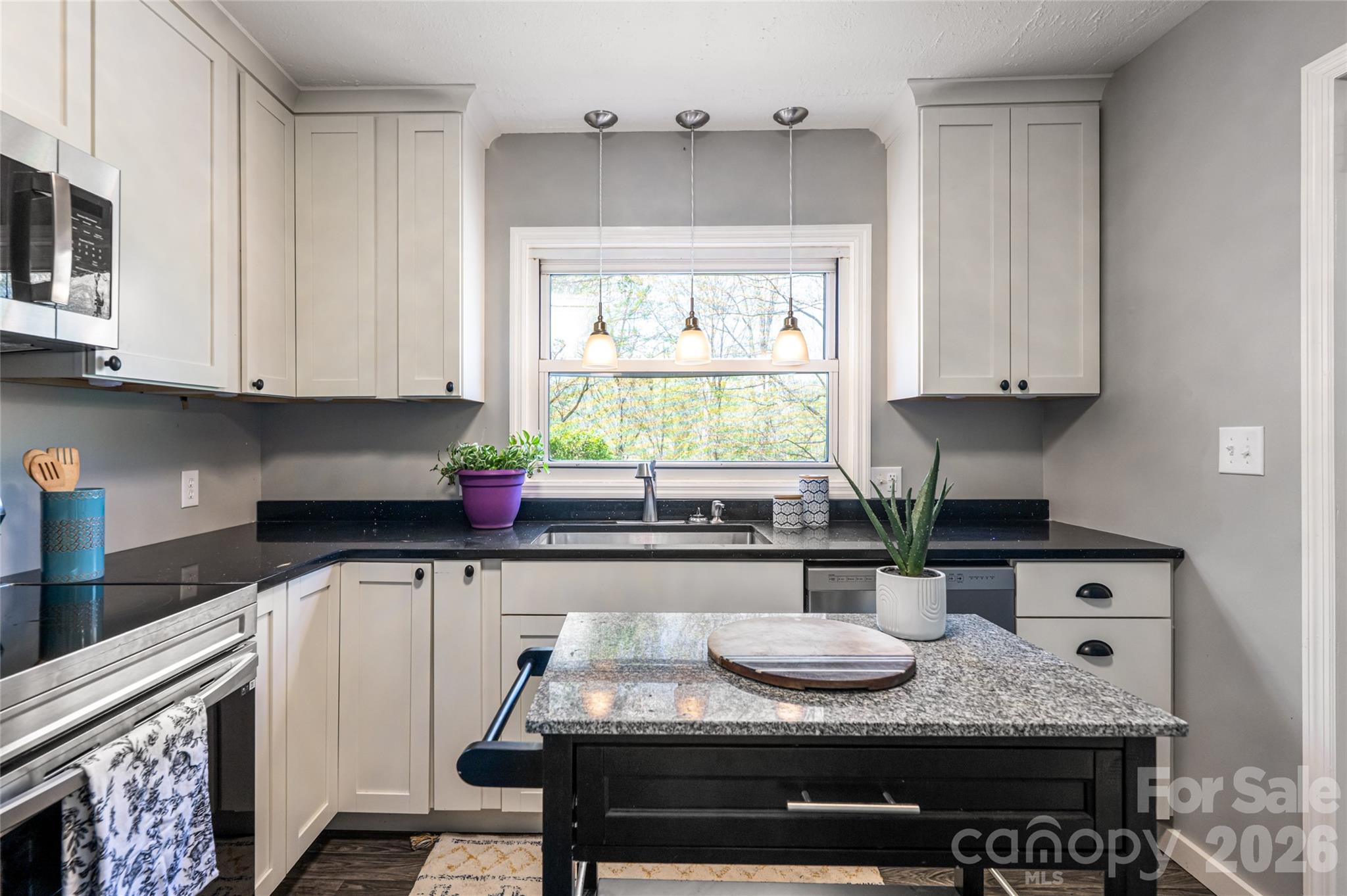 20 Clarendon Avenue Asheville NC 28804
