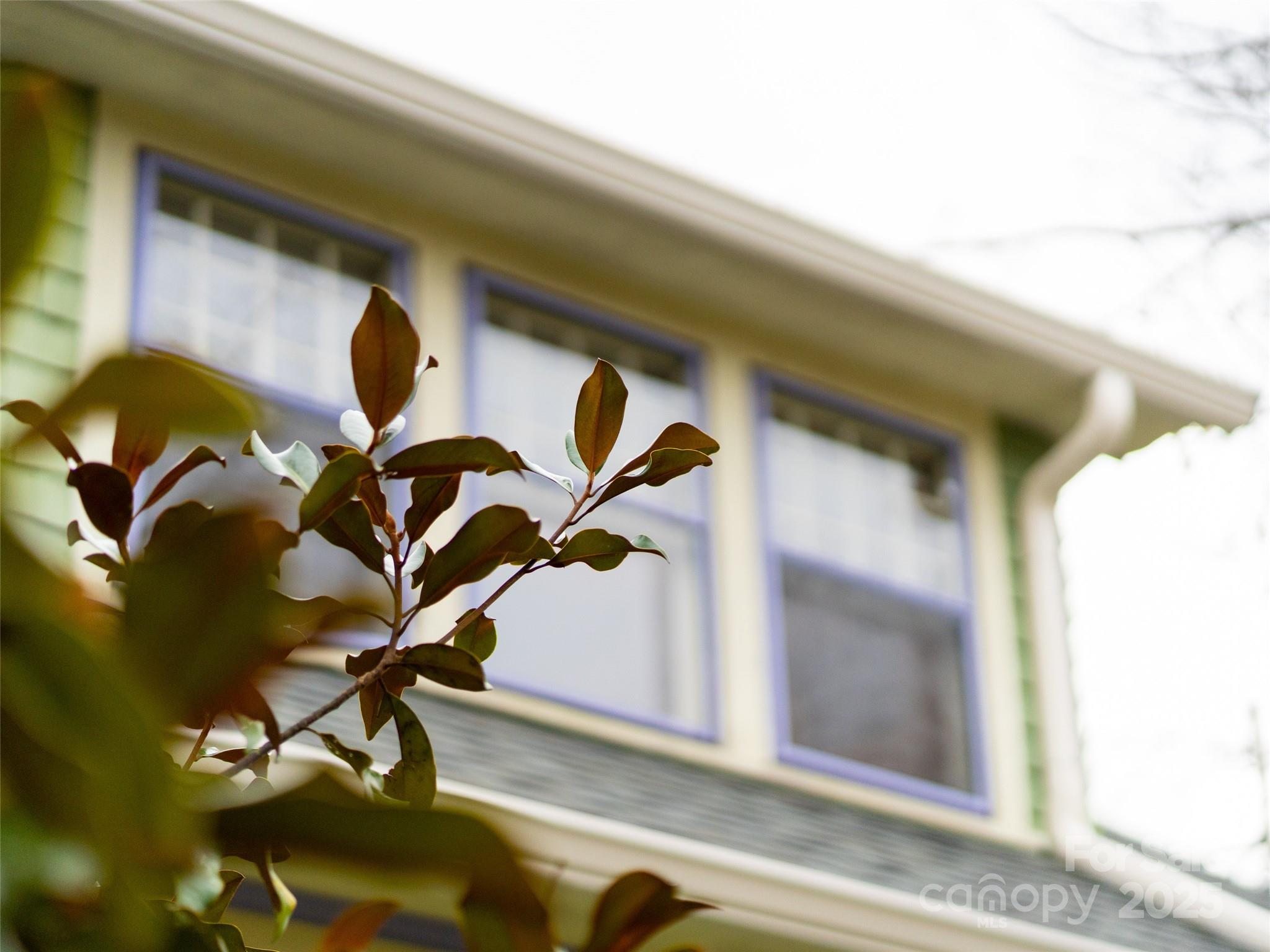 12 Bearden Avenue Asheville NC 28801