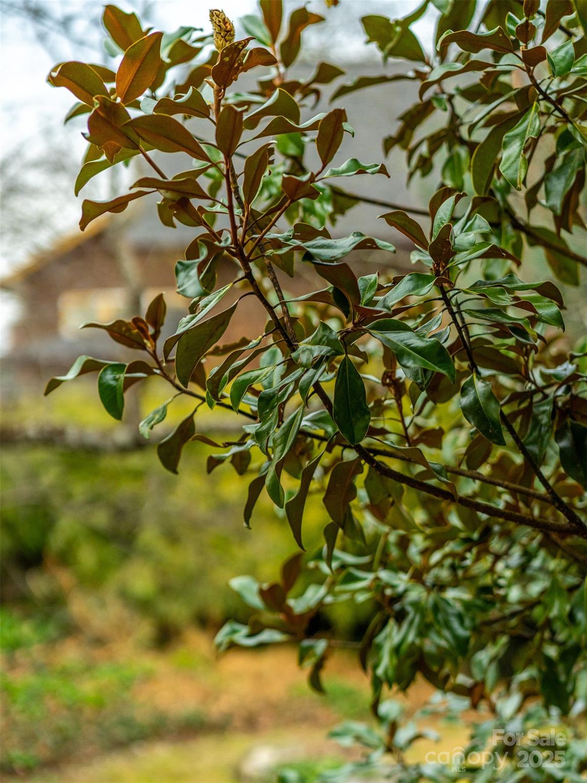 12 Bearden Avenue Asheville NC 28801