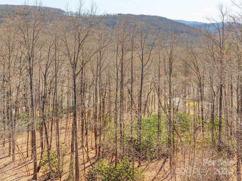 975 Wash Freeman Road Hendersonville NC 28792