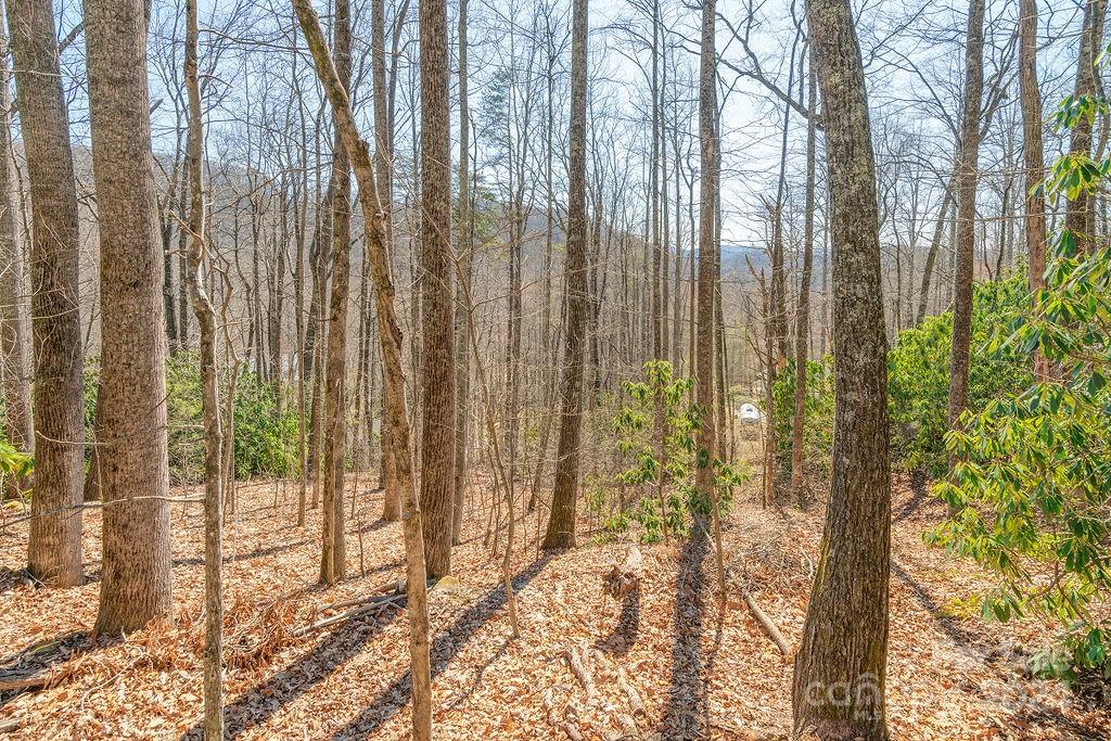 975 Wash Freeman Road Hendersonville NC 28792