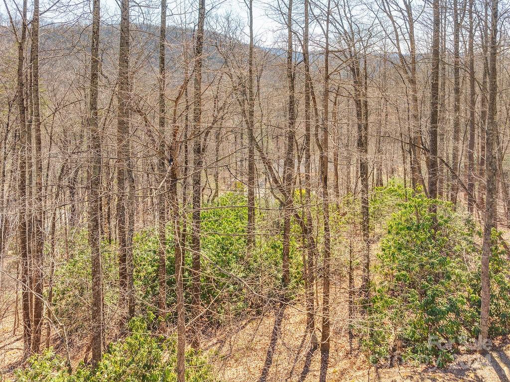 975 Wash Freeman Road Hendersonville NC 28792