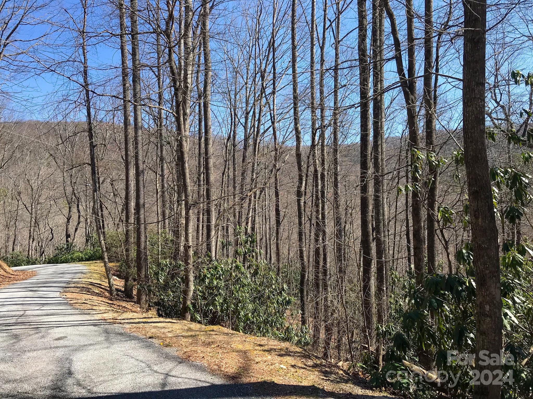 975 Wash Freeman Road Hendersonville NC 28792