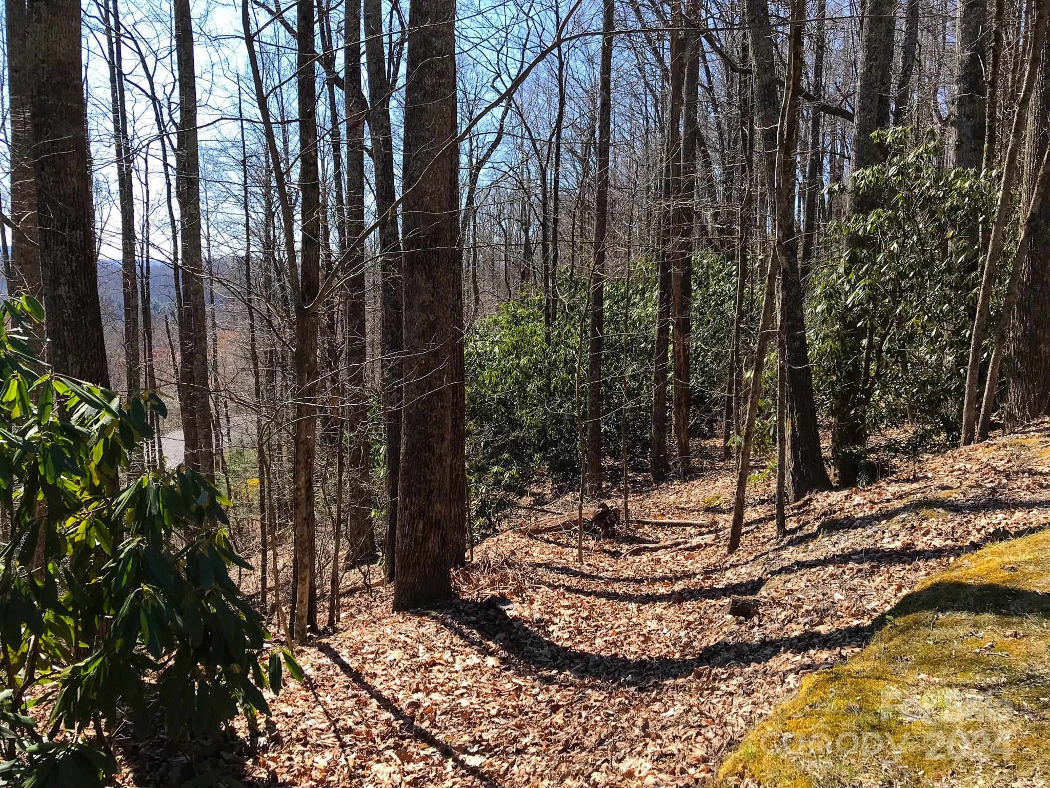 975 Wash Freeman Road Hendersonville NC 28792