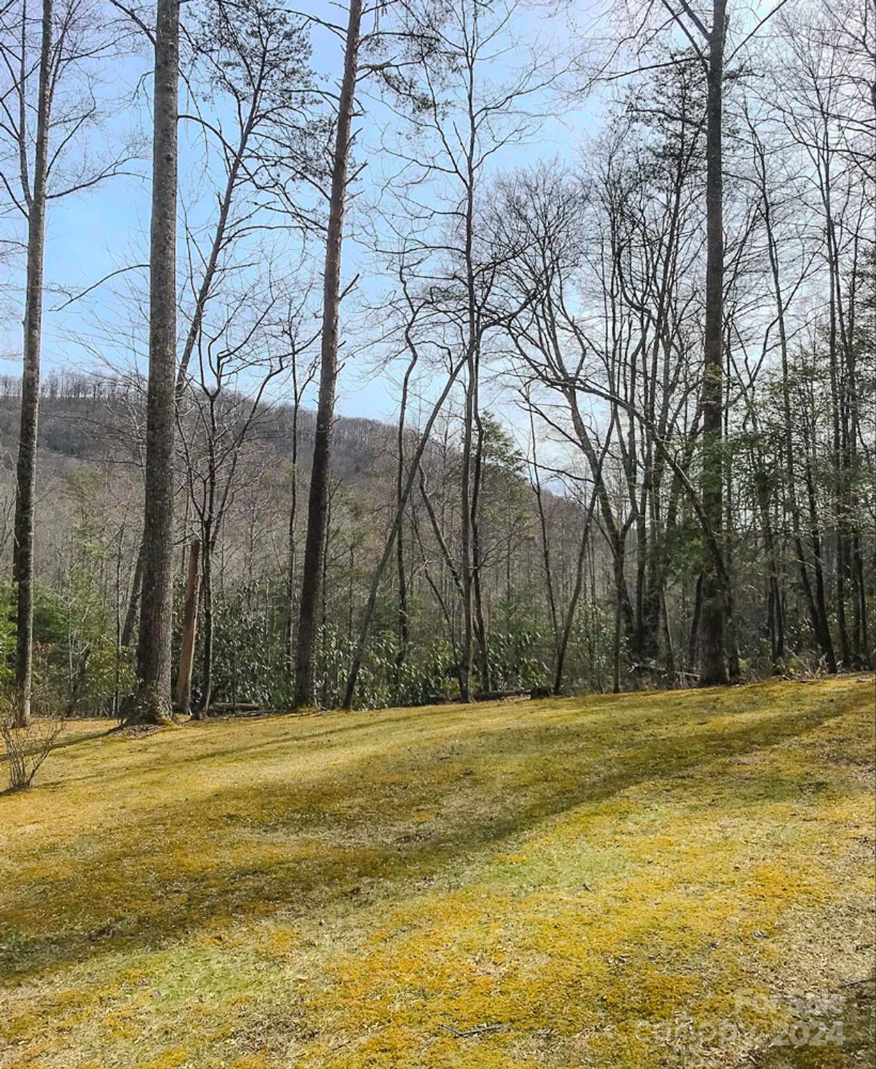 975 Wash Freeman Road Hendersonville NC 28792