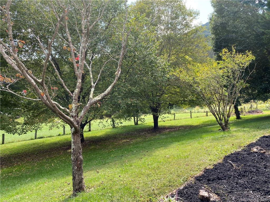222 Bee Ridge Road Asheville NC 28803