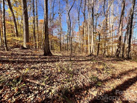 2381 Little Pine Road Marshall NC 28753