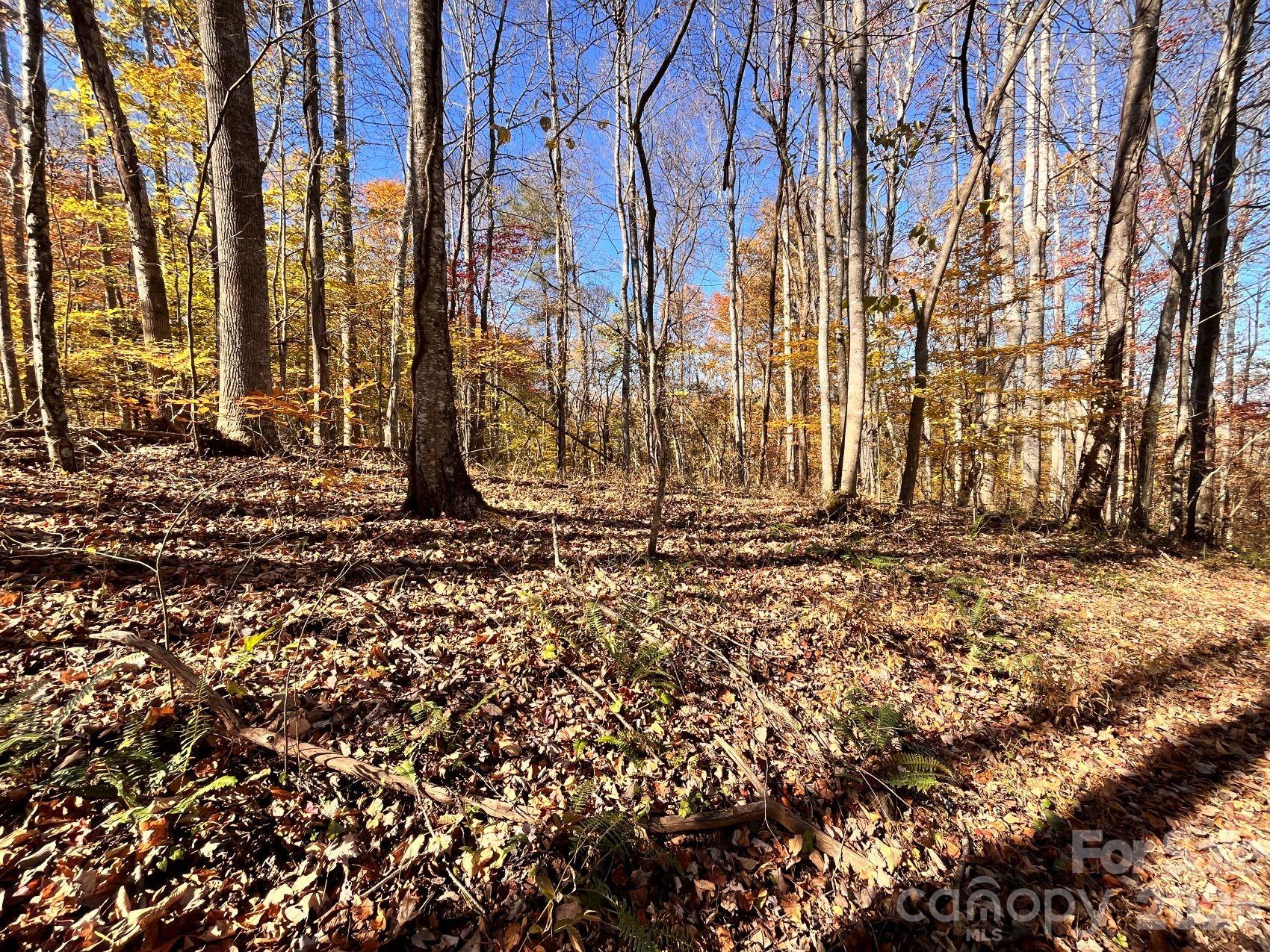 2381 Little Pine Road Marshall NC 28753