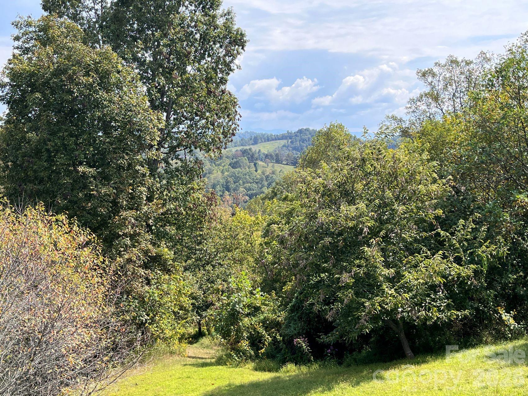 2381 Little Pine Road Marshall NC 28753
