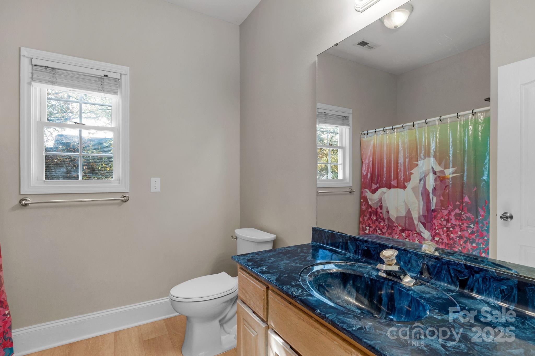 2227 Keswick Lane Rock Hill SC 29732
