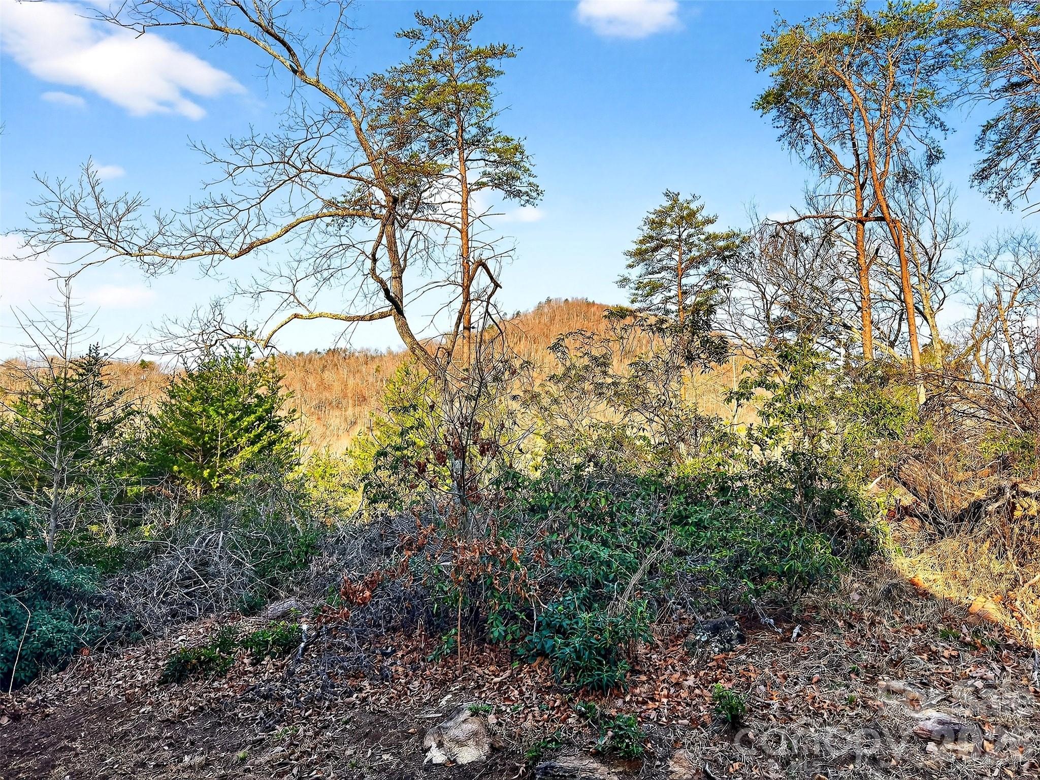 345 Lower Switchback Road Union Mills NC 28167