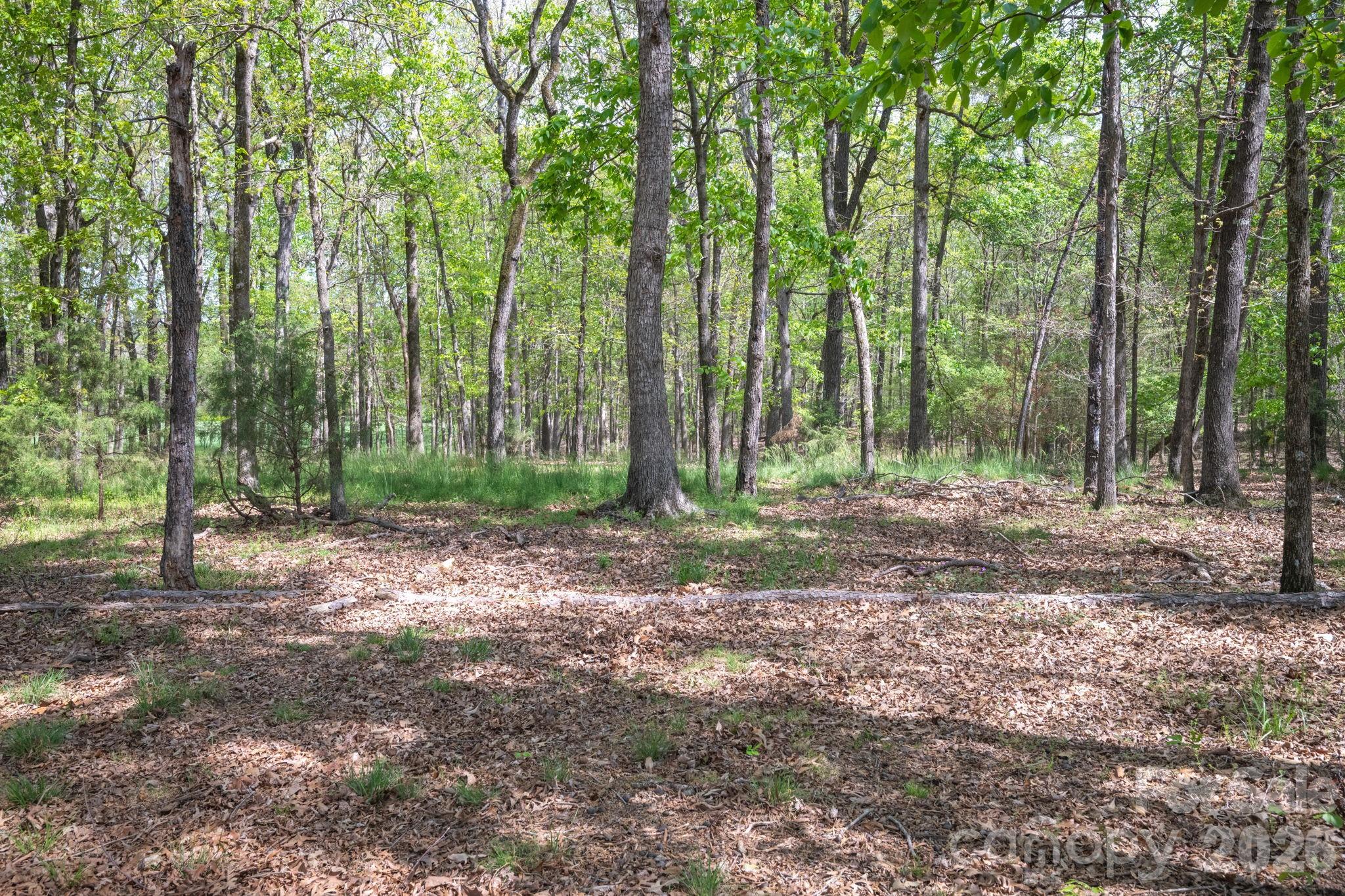 824 N Forest Hills School Road Marshville NC 28103
