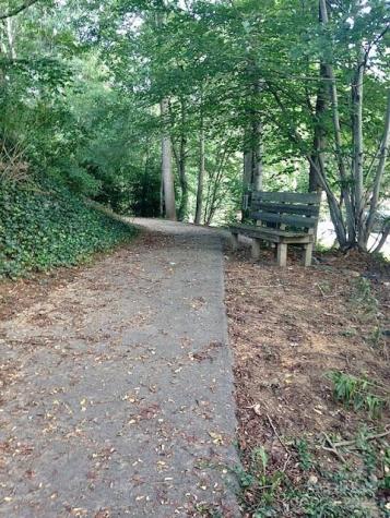 7 Wilshire Drive Asheville NC 28806