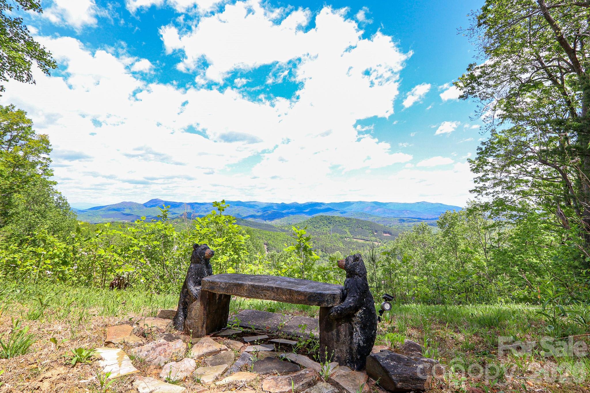 347 Valleyview Drive Bostic NC 28018