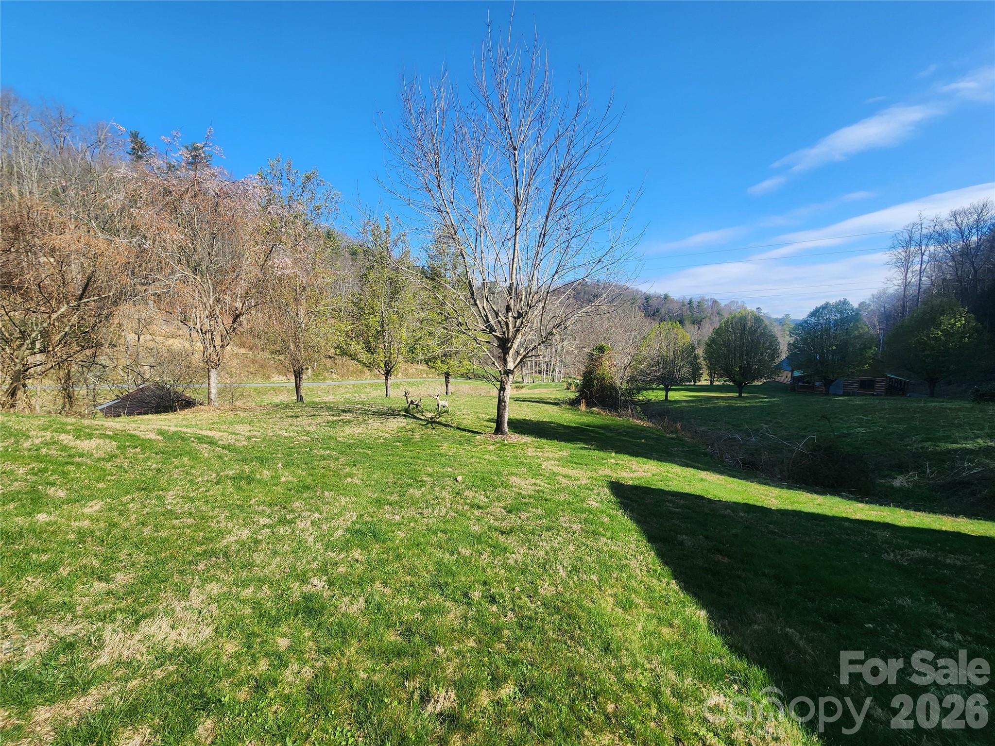 1025 Chandler Cove Road Marshall NC 28753