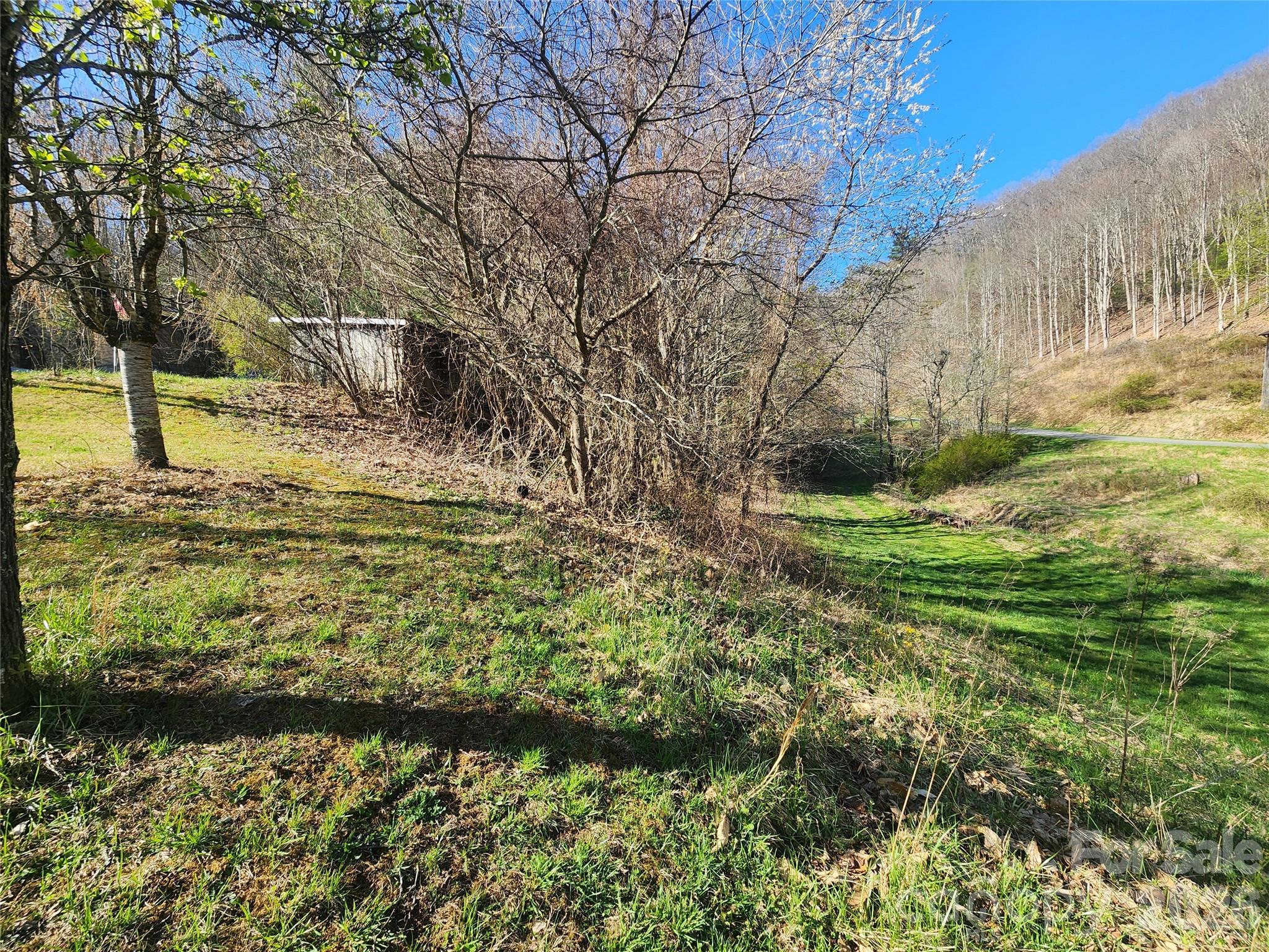 1025 Chandler Cove Road Marshall NC 28753