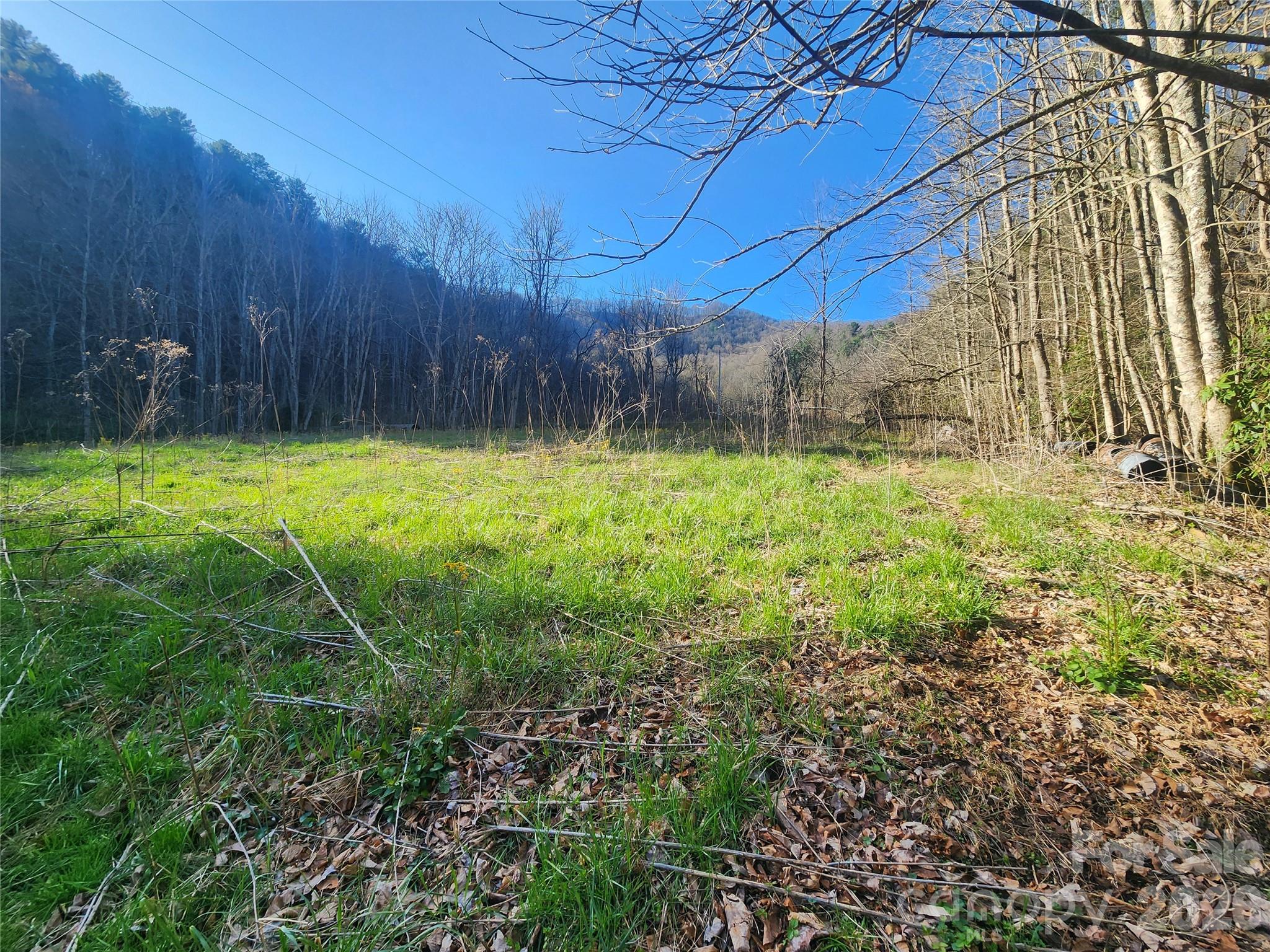 1025 Chandler Cove Road Marshall NC 28753