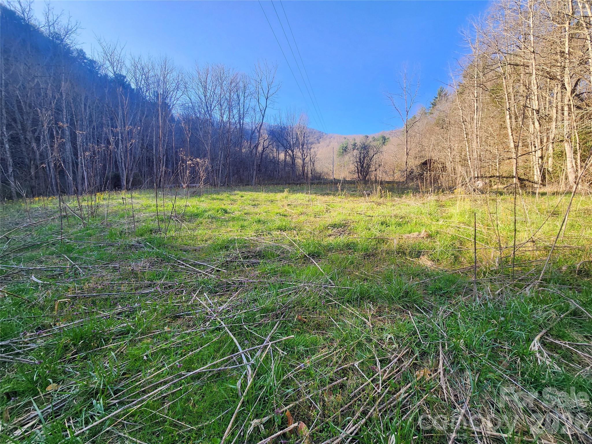1025 Chandler Cove Road Marshall NC 28753