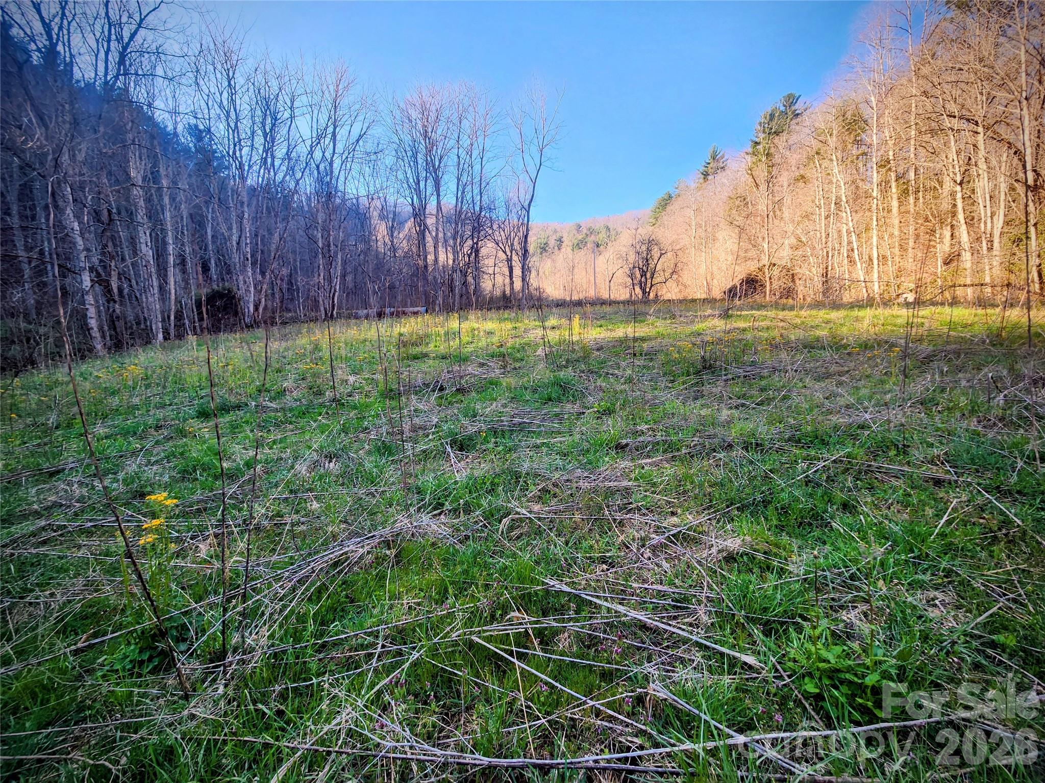 1025 Chandler Cove Road Marshall NC 28753