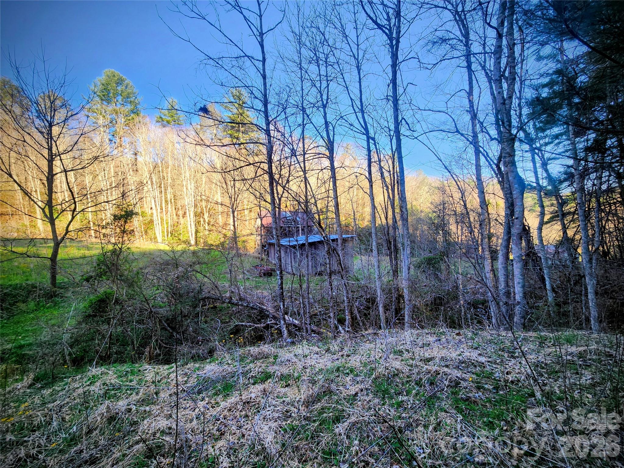 1025 Chandler Cove Road Marshall NC 28753