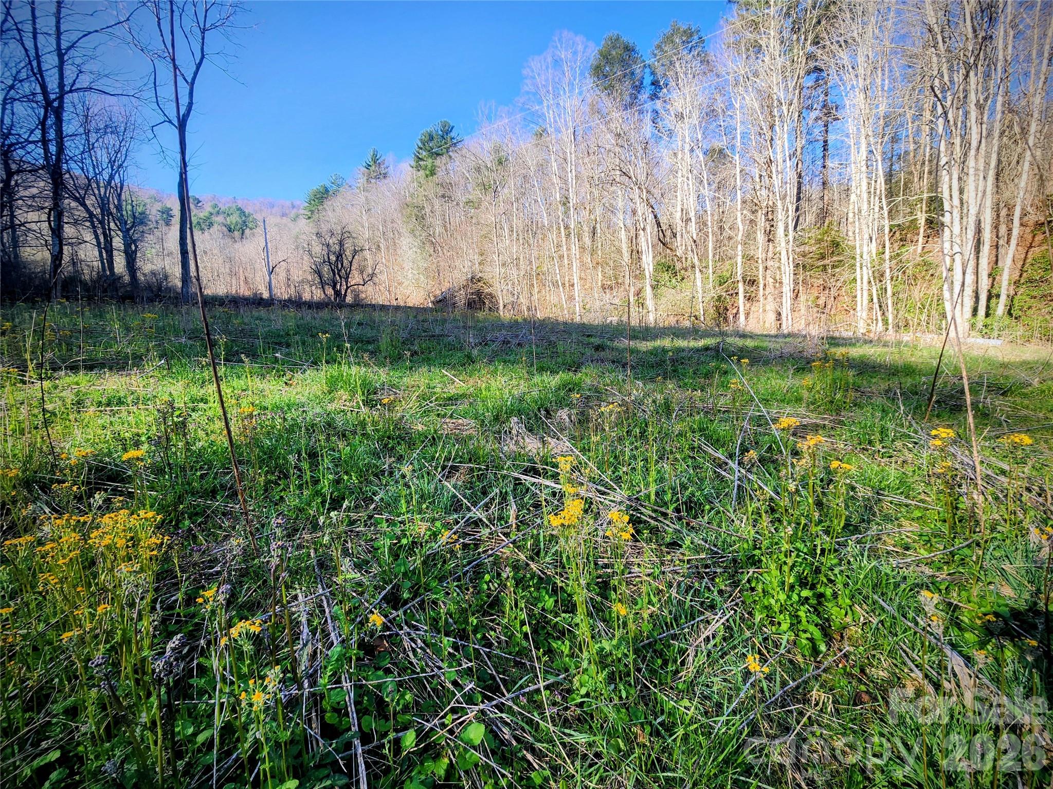 1025 Chandler Cove Road Marshall NC 28753