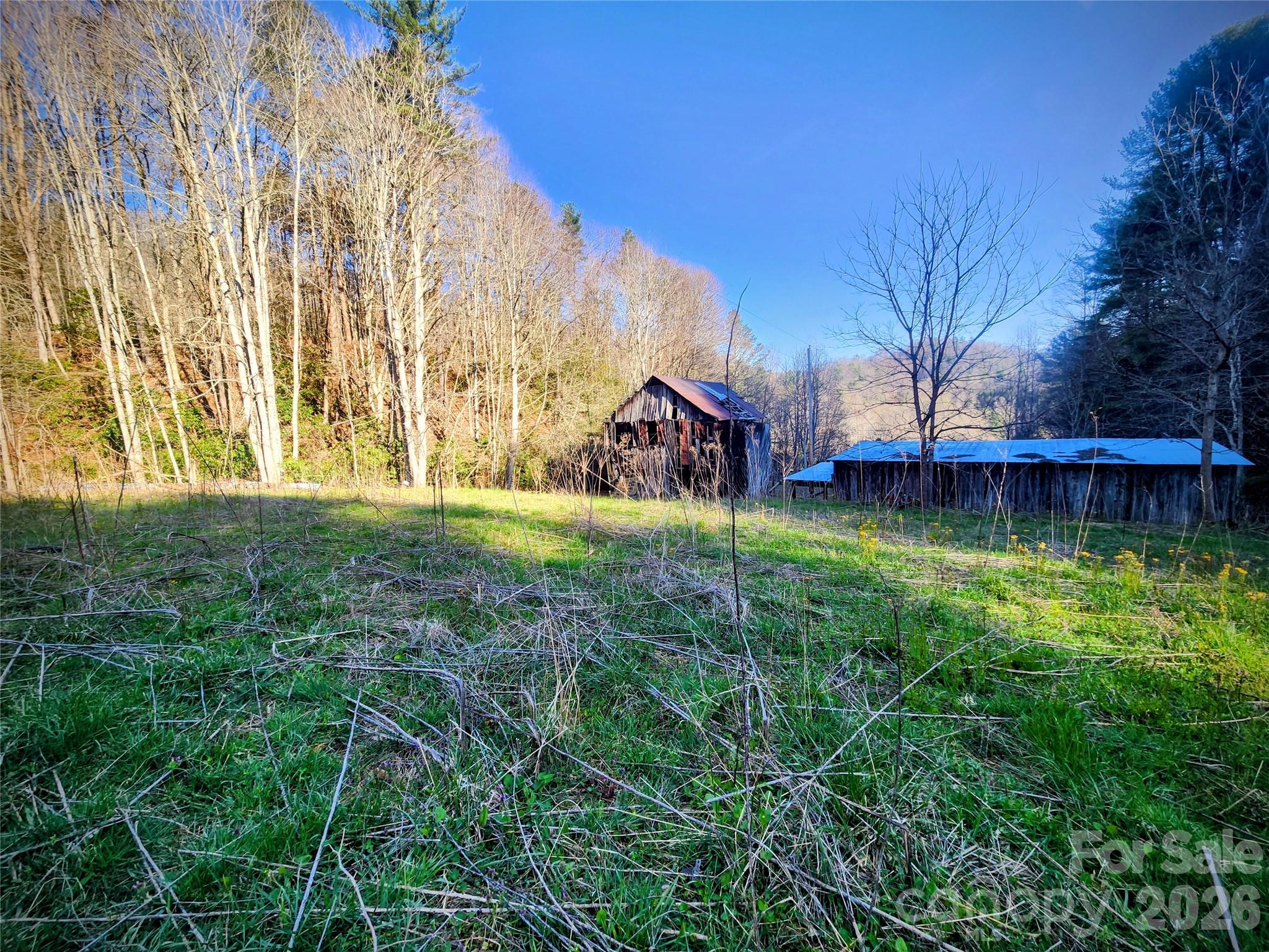 1025 Chandler Cove Road Marshall NC 28753