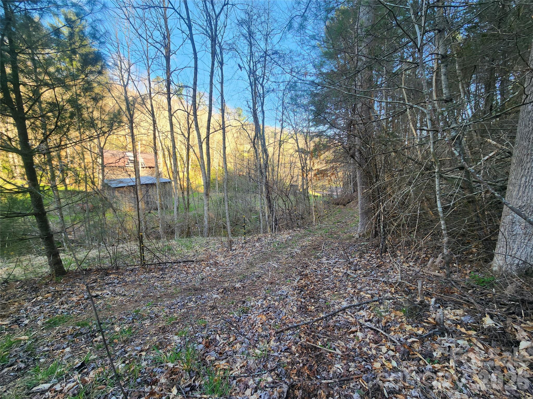 1025 Chandler Cove Road Marshall NC 28753