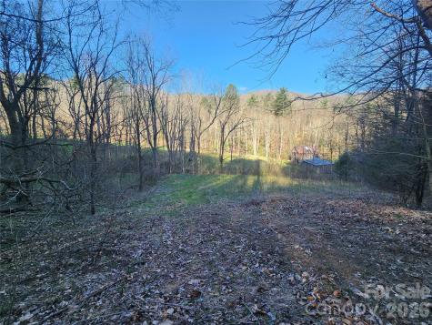 1025 Chandler Cove Road Marshall NC 28753