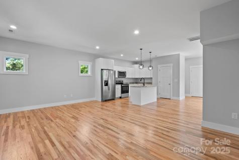 35 Lowe Avenue Asheville NC 28803