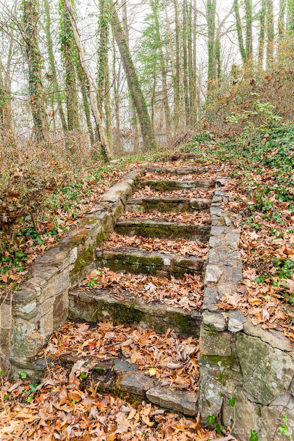 126 Appalachian Way Asheville NC 28806
