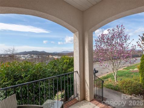 224 Leucothoe Lane Asheville NC 28803
