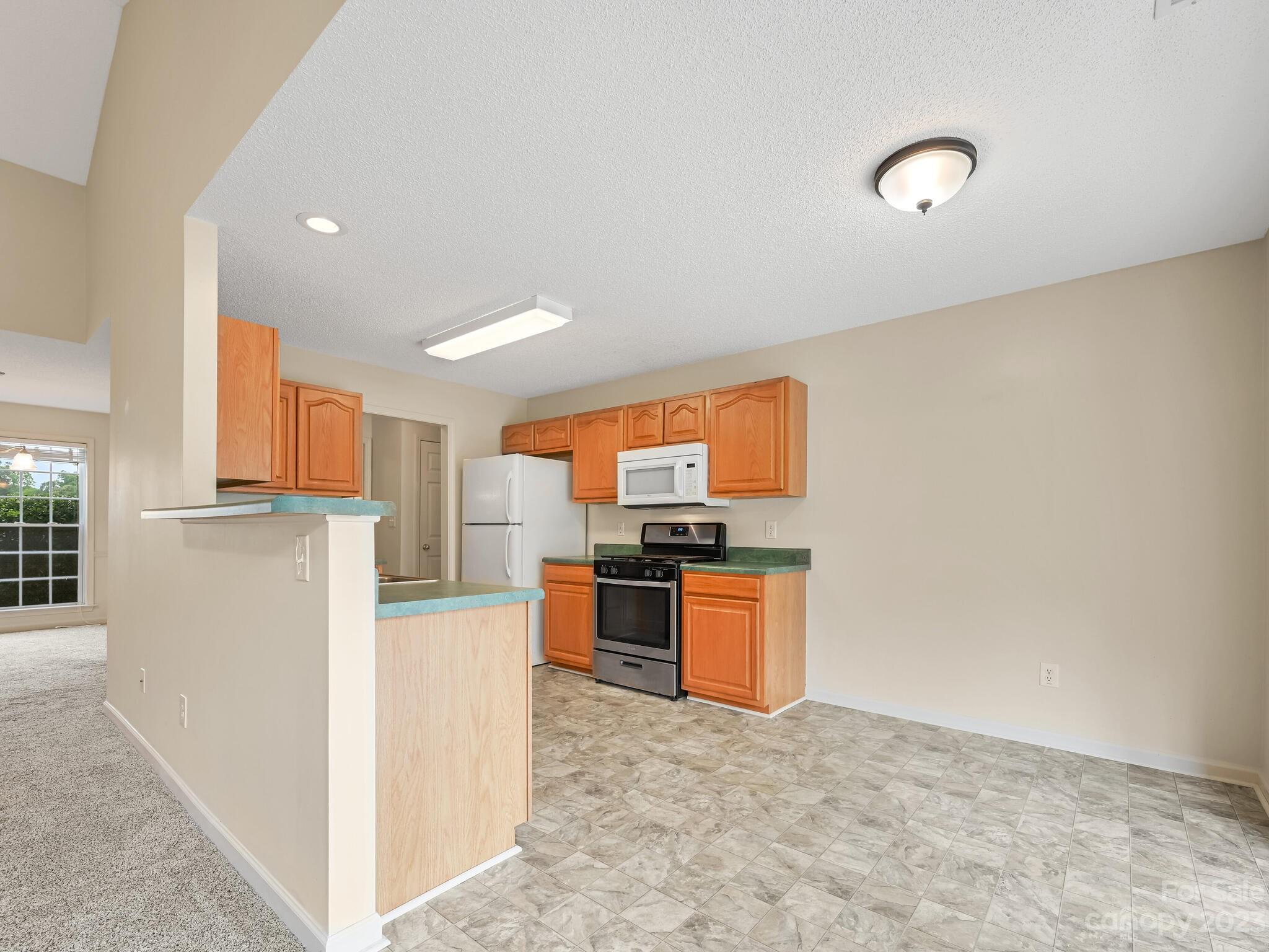 173 S Sunberry Trail Fletcher NC 28732