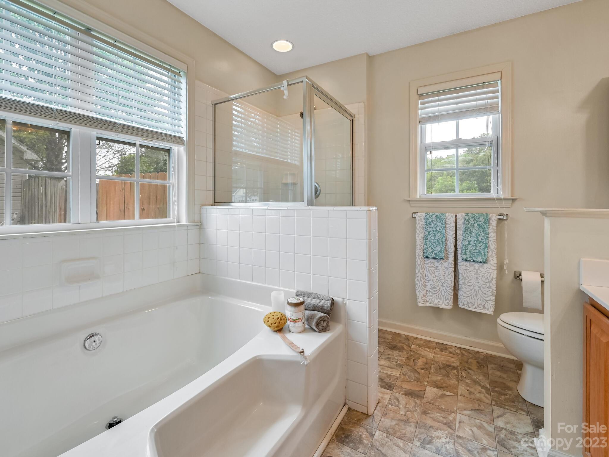 173 S Sunberry Trail Fletcher NC 28732
