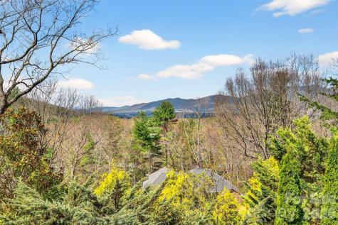 3 Tree Top Place Black Mountain NC 28711