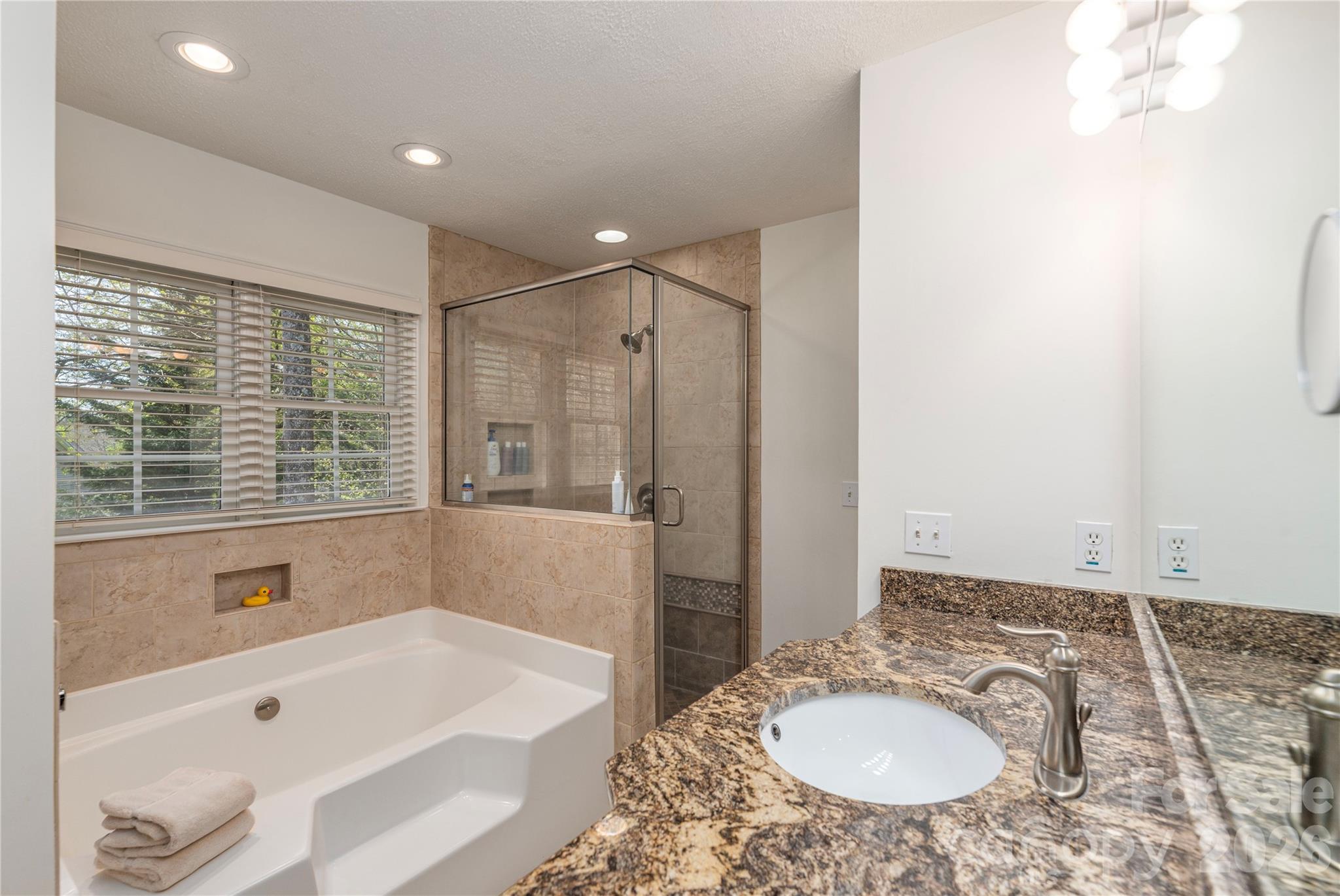42 Cranberry Bog Court Fletcher NC 28732