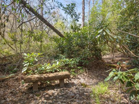 117 Sunrise Ridge Court Sapphire NC 28774