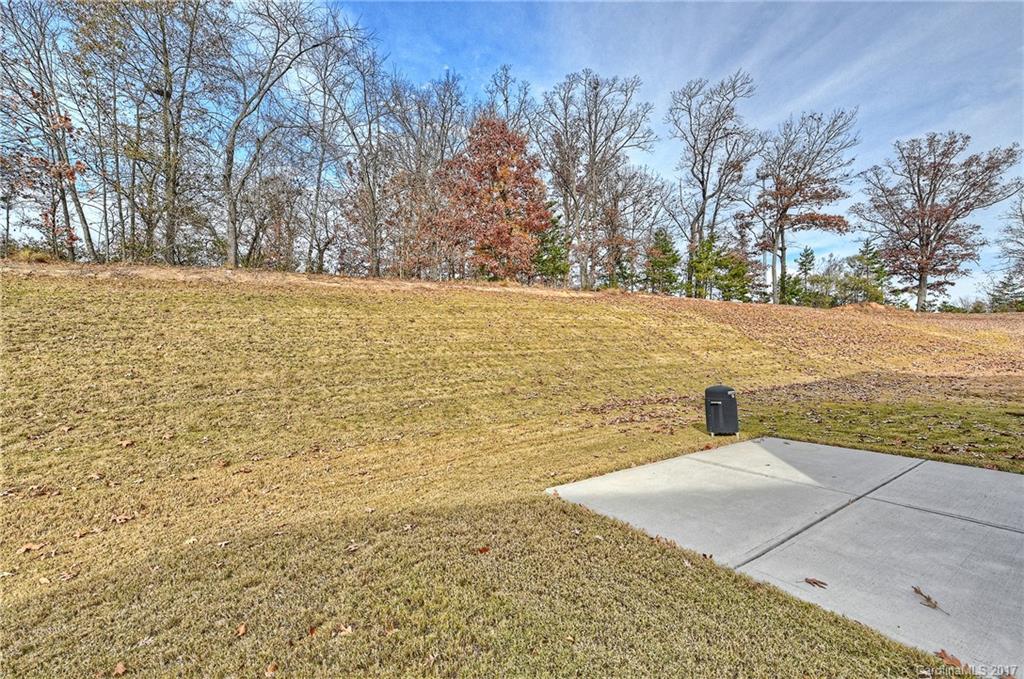 14833 Dungannon Court Charlotte NC 28278