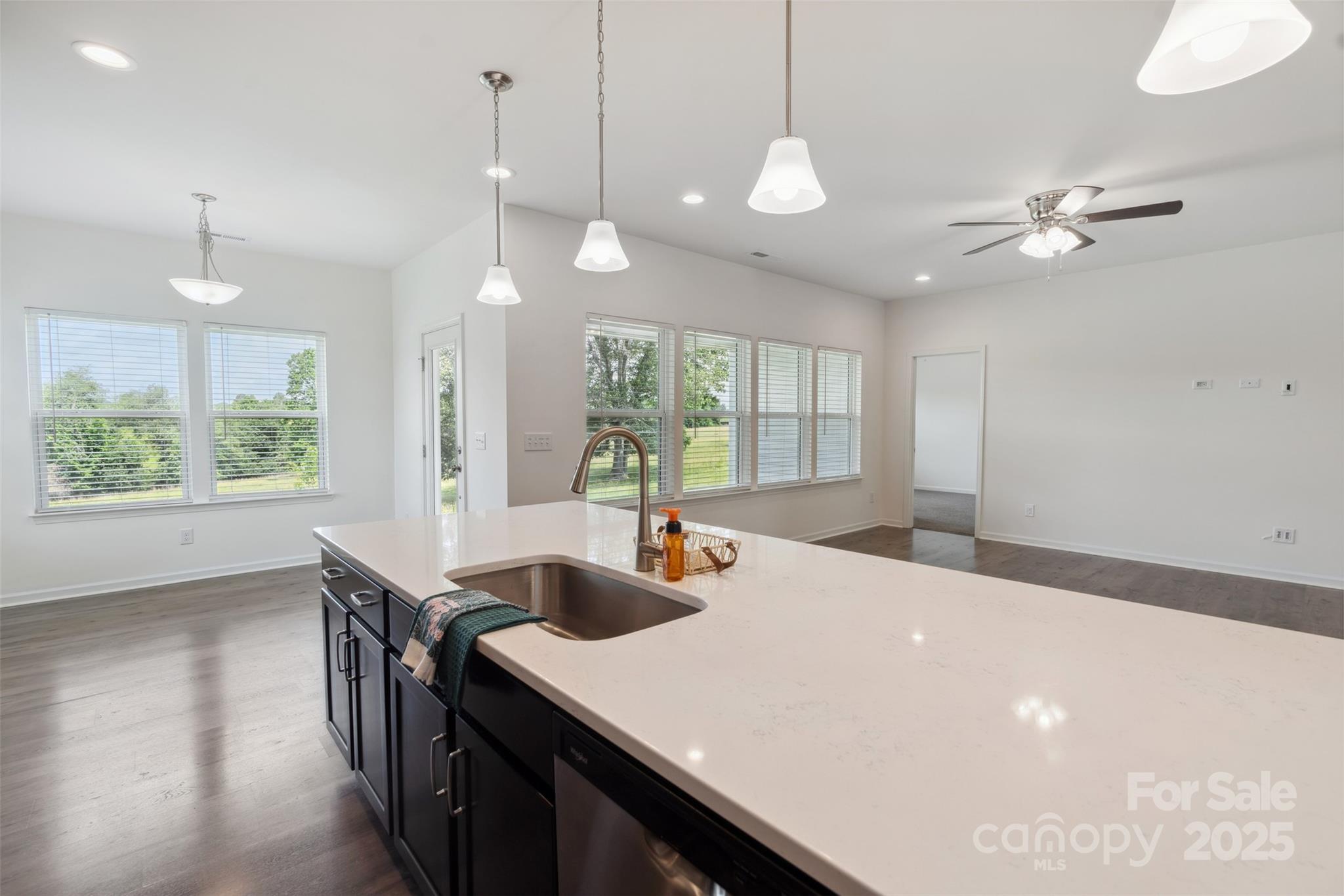 117 Carmine Court Troutman NC 28166