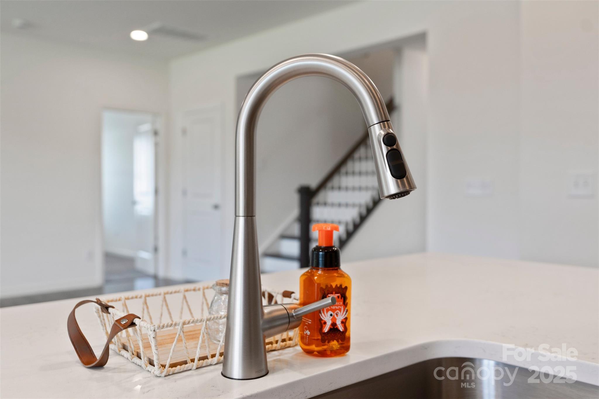 117 Carmine Court Troutman NC 28166