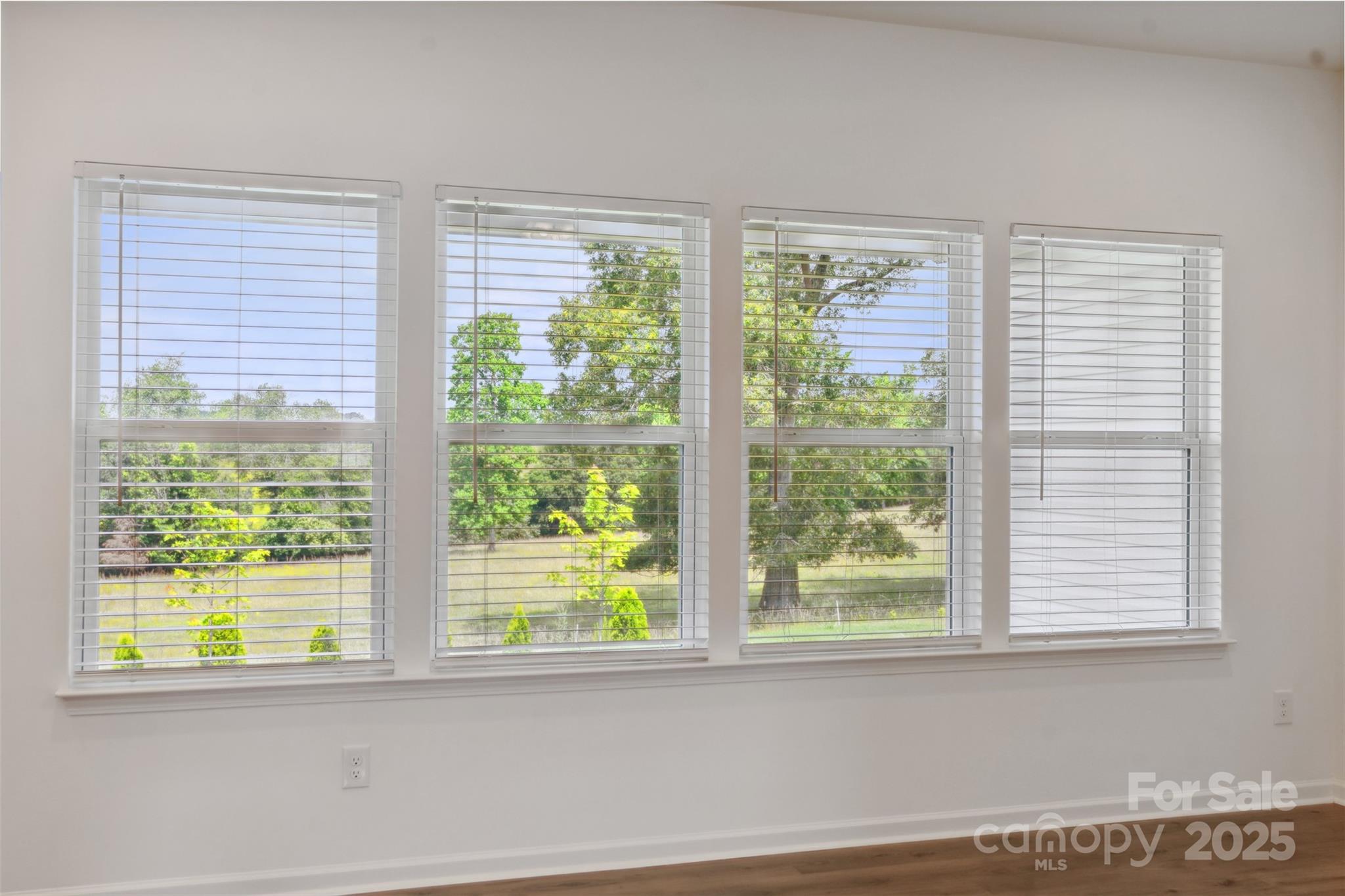 117 Carmine Court Troutman NC 28166