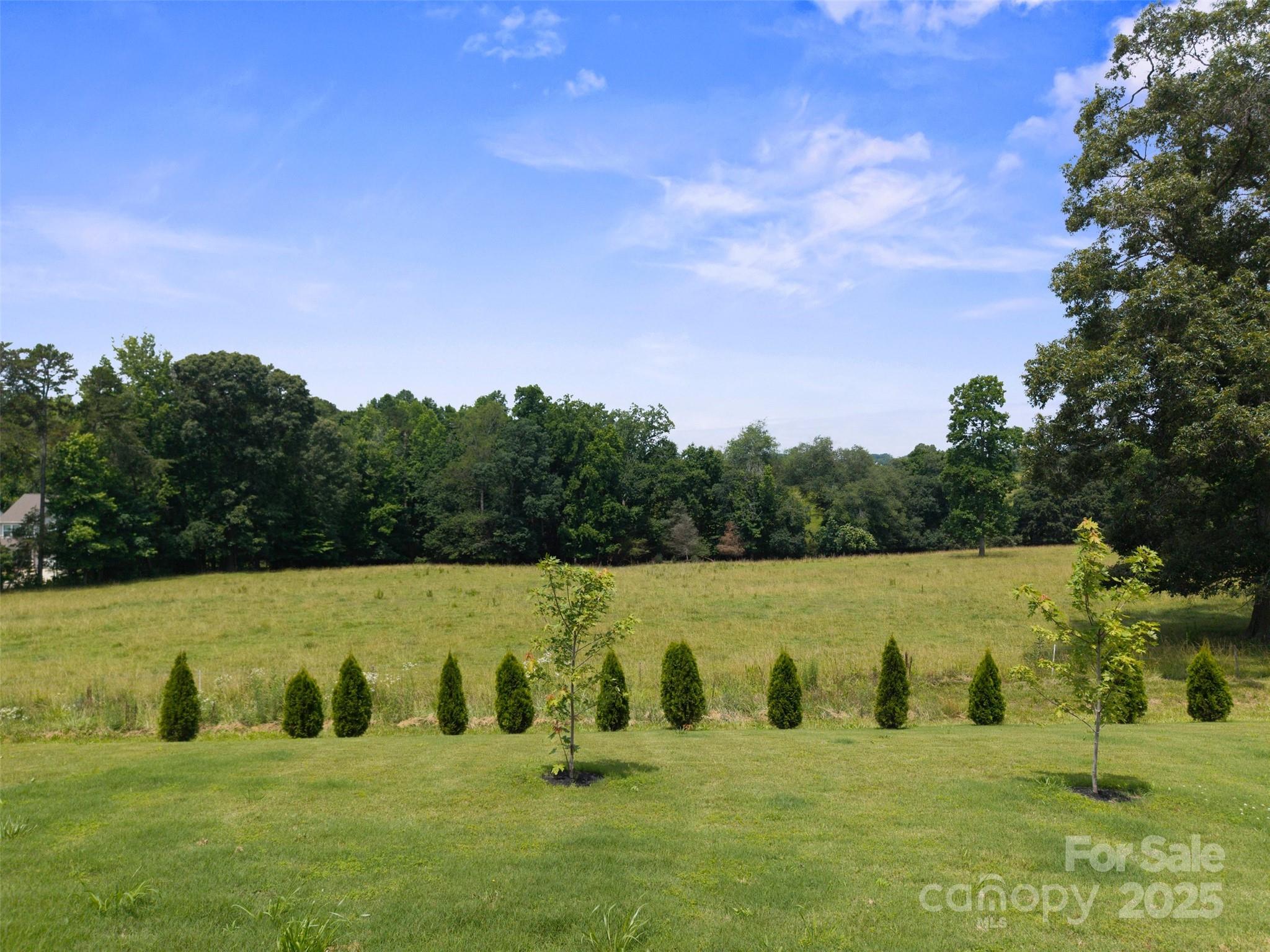 117 Carmine Court Troutman NC 28166