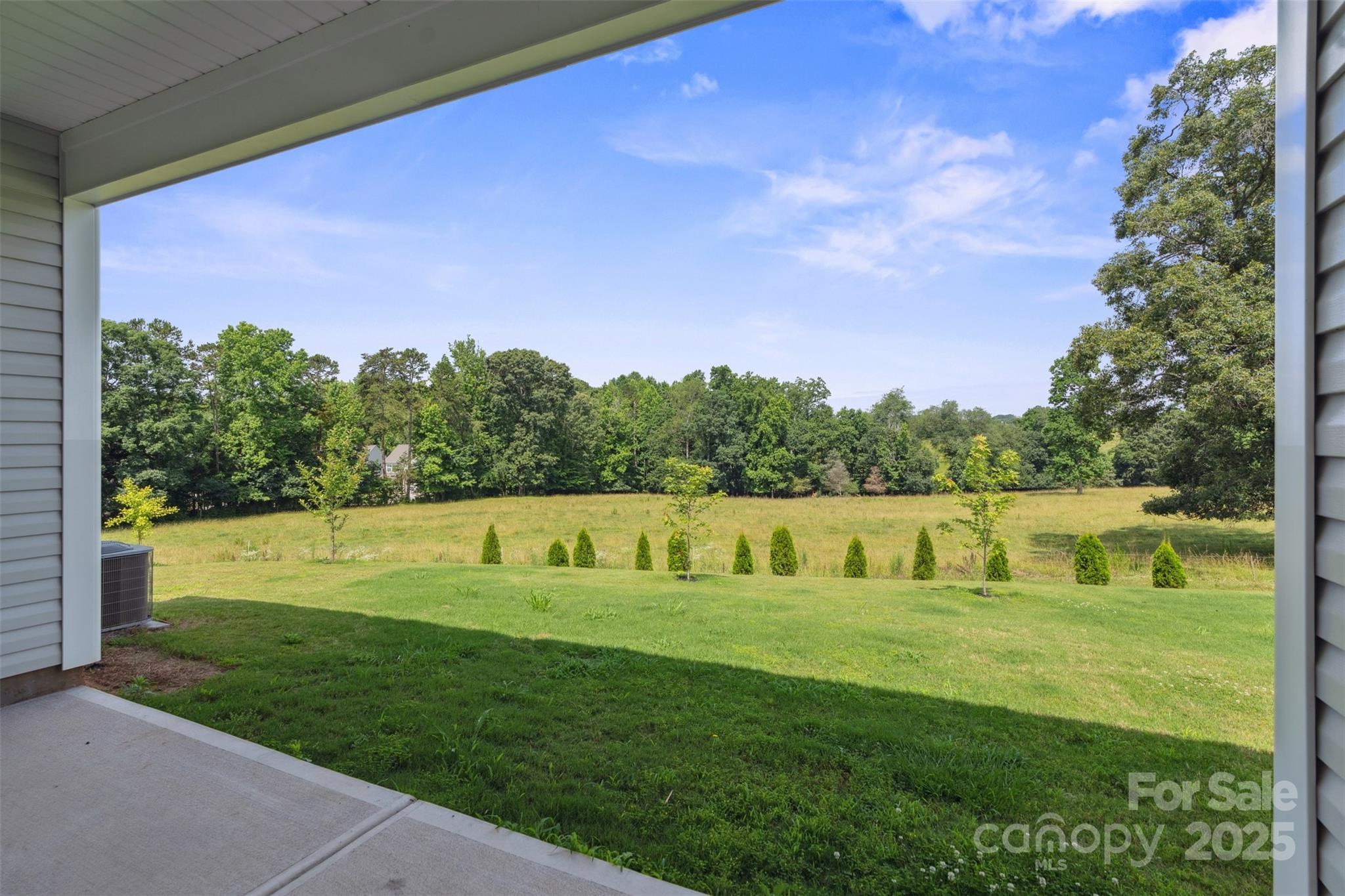 117 Carmine Court Troutman NC 28166