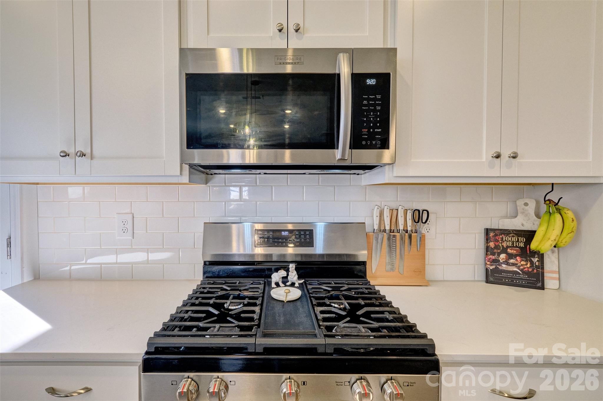 1737 Otter Perch Lane Fort Mill SC 29715
