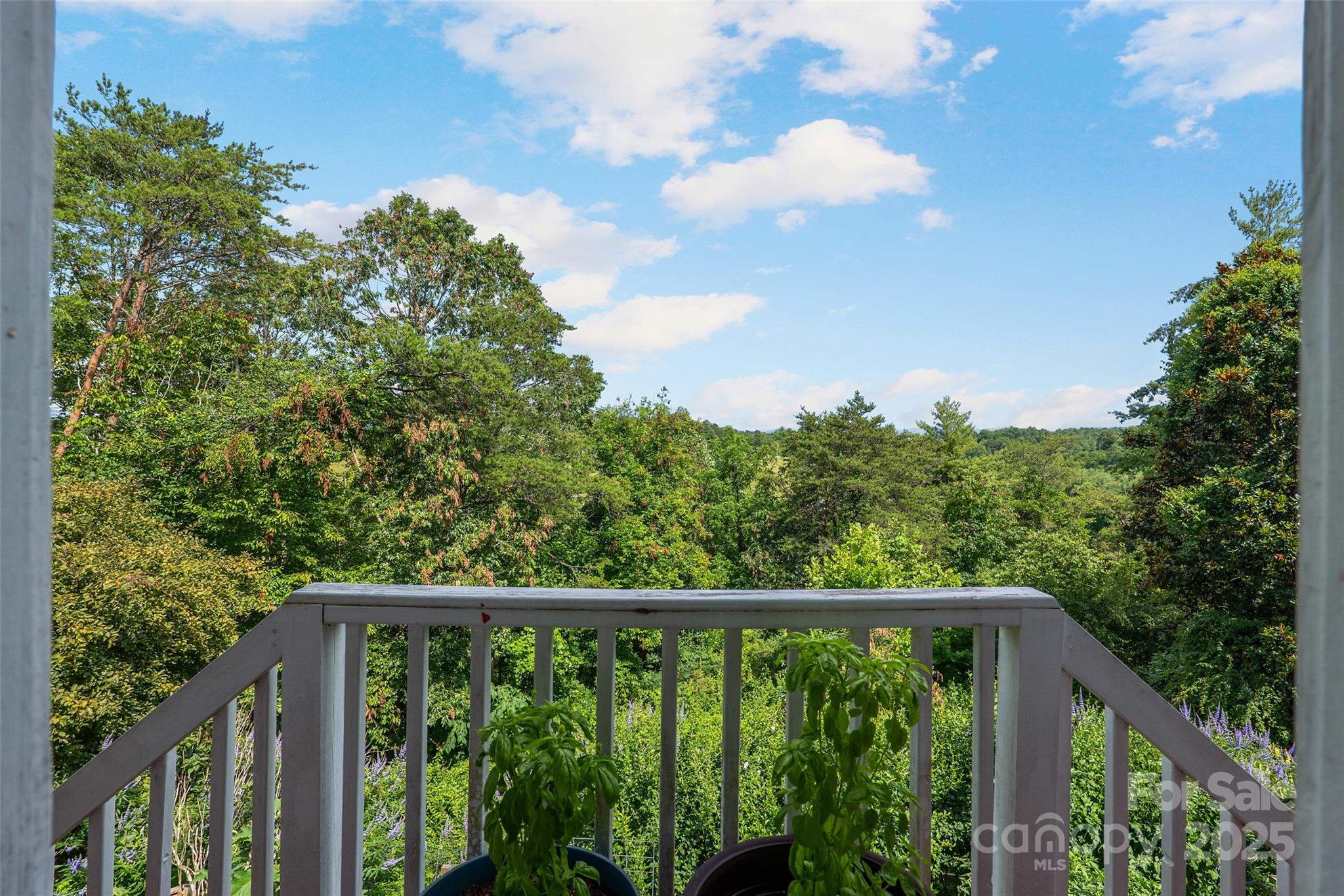 15 Willow Knolls Drive Weaverville NC 28787