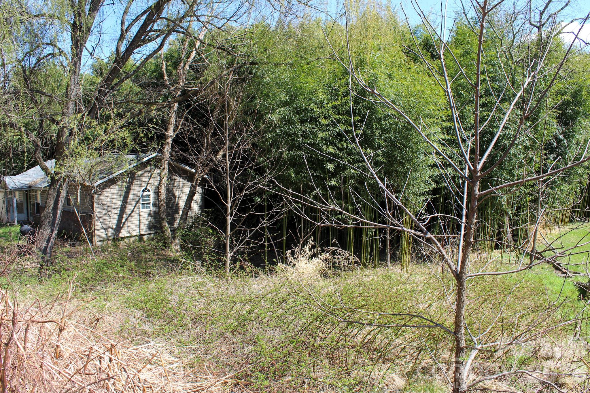 1293 Lake Logan Road Canton NC 28716